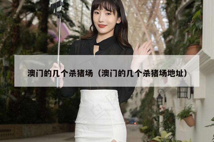 澳门的几个杀猪场(澳门的几个杀猪场地址)